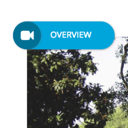 Pin Ideas & Inspiration thumbnail icon